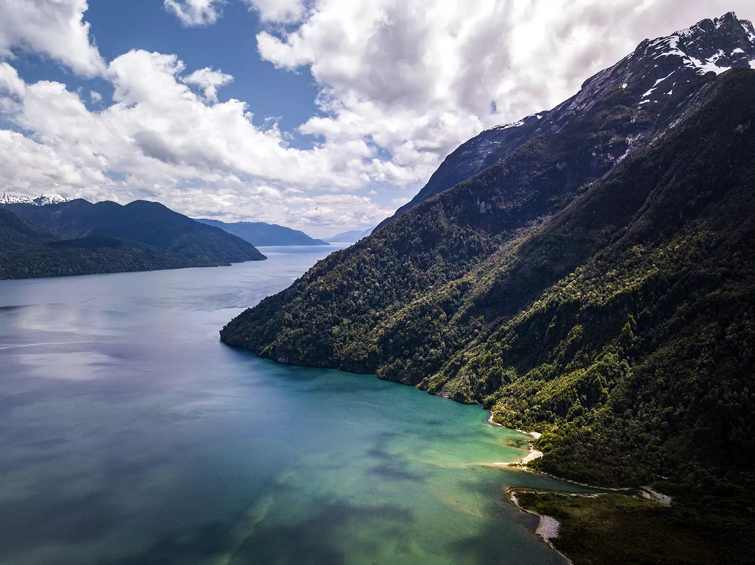 Vreni Häussermann, une vie au service de la biodiversité patagonienne | La vie marine des fjords de Patagonie, une région extrêmement riche en biodiversité, a souffert du changement climatique et des activités humaines.Crédit : Jeremias Thomas/Rolex | Françoise Blind-Kempinski - Directrice éditoriale et réalisatrice (journaliste Les Echos)
