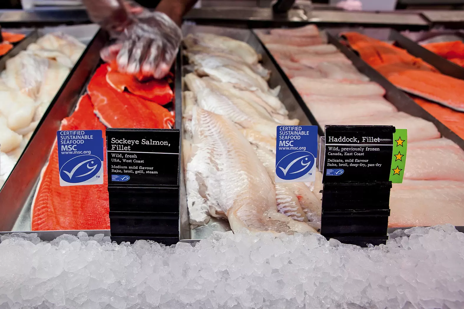 Pêche durable : guide à l'usage du consommateur responsable | MSC | Françoise Blind-Kempinski - Directrice éditoriale et réalisatrice (journaliste Les Echos)